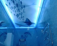 Световой натяжной потолок с изображением акулы и рыбок.