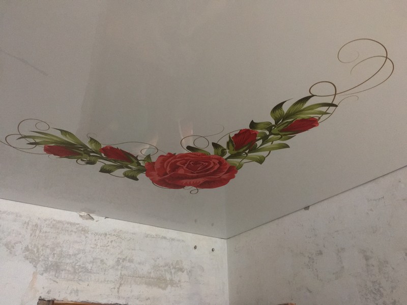 Красные розы с бутонами на белом лаковом натяжном потолке.