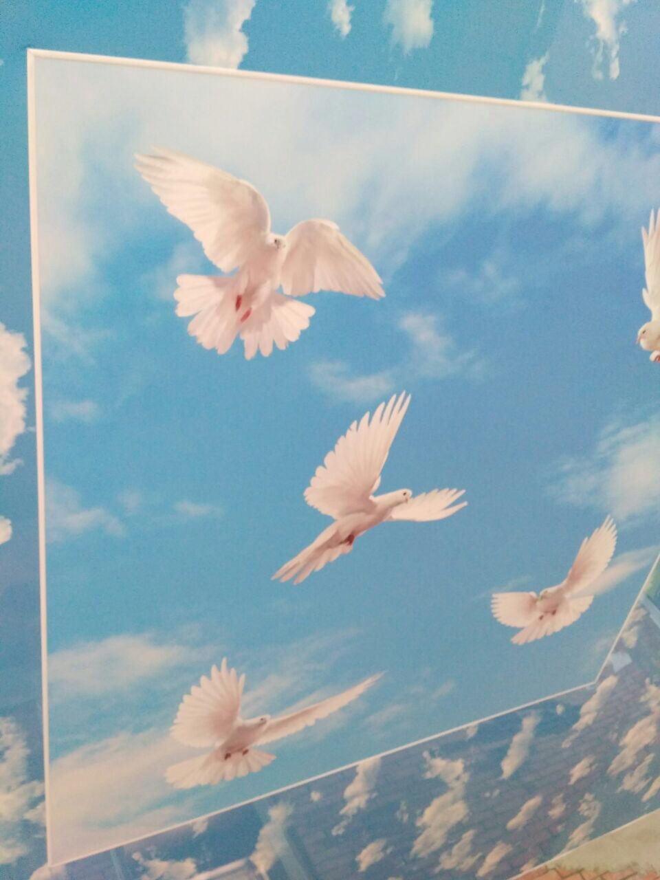 Фотопечать на натяжном потолке картинки с голубями в небе.