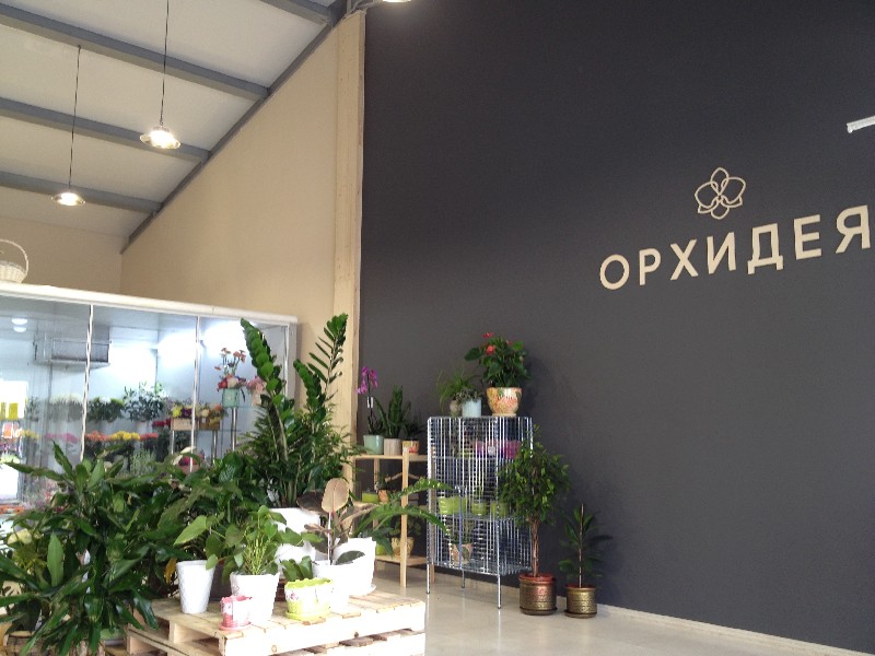 Белые лаковые натяжные потолки в интерьере магазина цветов.